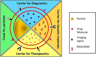 Recent Progress in Red Blood Cells-Derived Particles as Novel Bioinspired Drug Delivery Systems: Challenges and Strategies for Clinical Translation